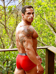 His muscles are even bigger and his tight clothes keep you breathless